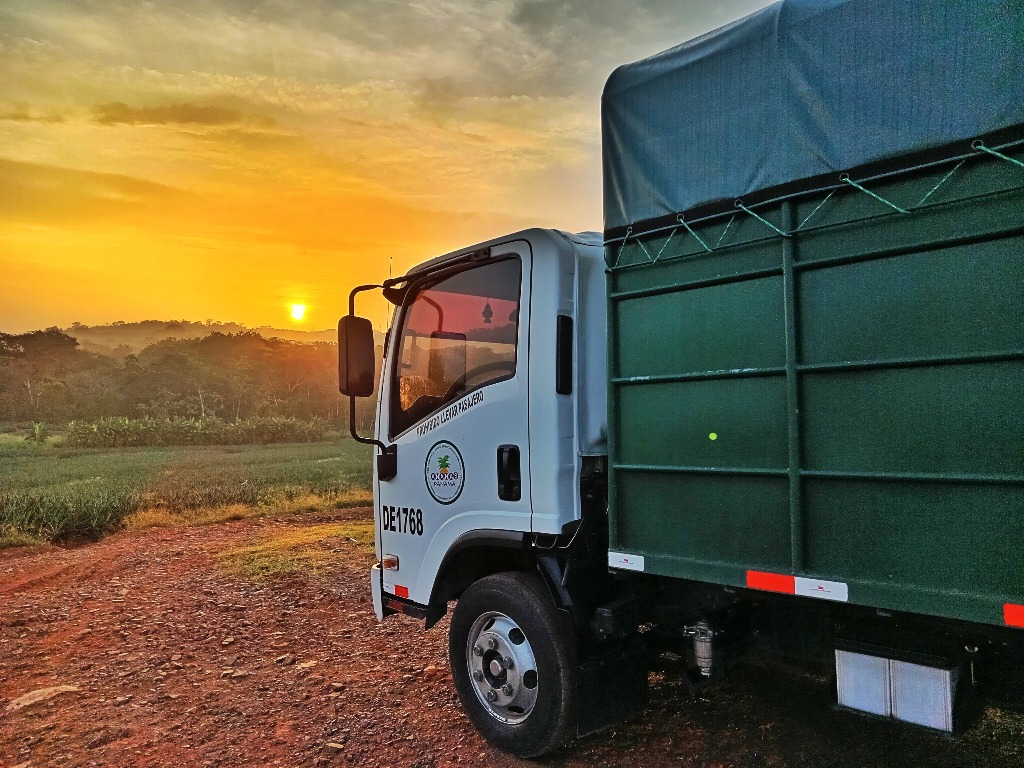 Transporte en campo
