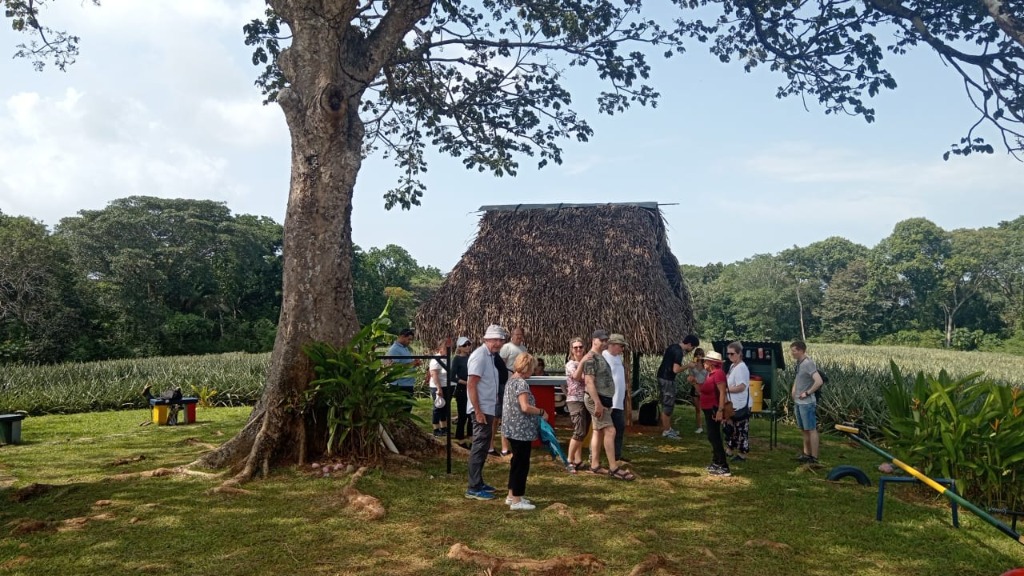 Recorridos en finca